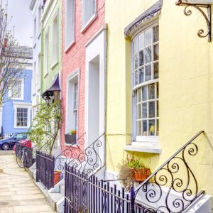 London Blossom Postcard