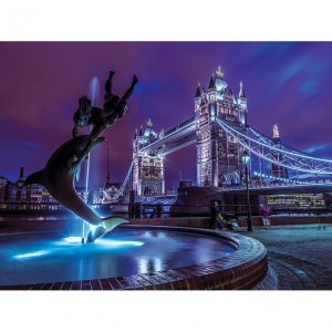 Tower Bridge Dolphin Postcard