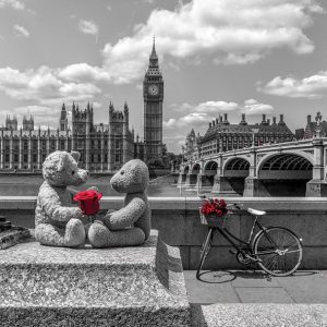 Big Ben Teddies (B&W) Postcard