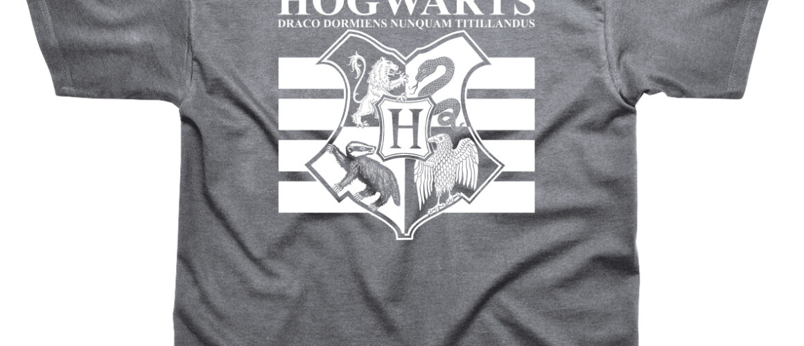 Hogwarts Grey T-Shirt